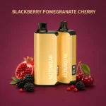 alibarbar 9000 puffs blackberry pomegranate cherry