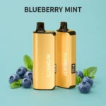 alibarbar 9000 puffs blueberry mint