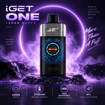 iget one 12000 puffs cover