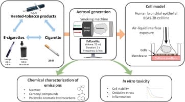 A comparative diagram or infographic showing the distinct chemical outputs of a burning cigarette (tar, carbon monoxide) versus a heated vape device (PG/VG, flavors, nicotine).