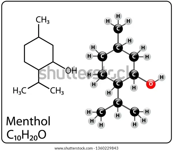 menthol molecule structure 600