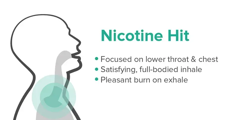An infographic comparing the chemical properties and throat hit characteristics of Freebase Nicotine and Nicotine Salts in vaping e-liquids.